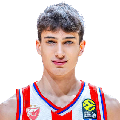 A. Nedeljković